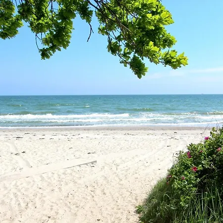 Strandnahe Mit Terrasse, Gratis Nutzung Vom Ahoi Erlebnisbad Und Sauna In Sellin - Rex Rugia 28-4