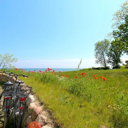 Strandnahe Mit Terrasse, Gratis Nutzung Vom Ahoi Erlebnisbad Und Sauna In Sellin - Rex Rugia 28-4 * 洛布